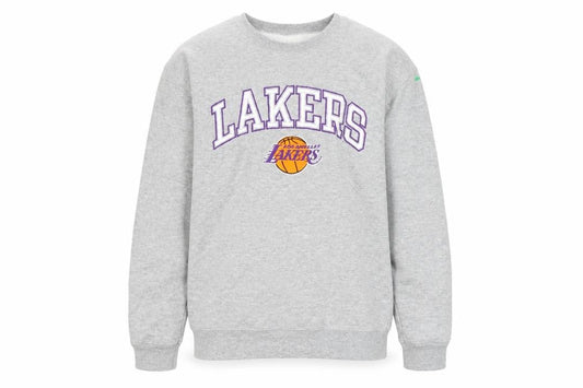 Front view of Hanes unisex kids grey lakers pullover sweatshirt l fleece sports style