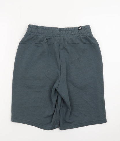 Puma Men's Grey Small Sweat Shorts Elastic Waist Casual