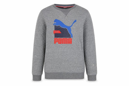 Puma Boys Grey 164 Pullover Crew Neck Sweatshirt with Logo Graphic