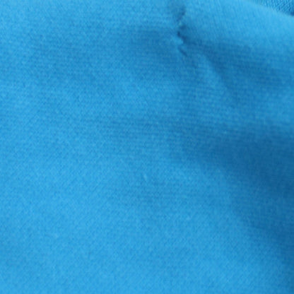 Champion Men's Blue Pullover Hoodie Size L Fleece Sportswear