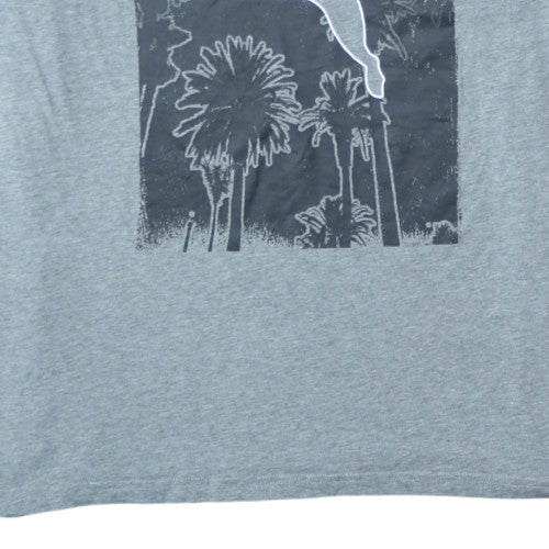 Puma Men's Grey Graphic Print Crew Neck Short Sleeve T-Shirt 3XL