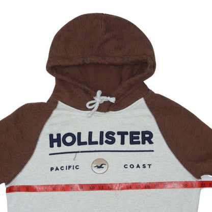 Hollister Men’s Brown Grey Pullover Hoodie M Logo Fleece Sweatshirt