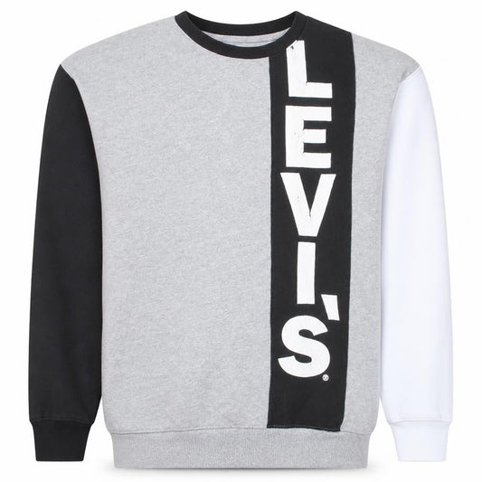 Front view of Levi's boys’ grey colourblock logo pullover sweatshirt 16 years
