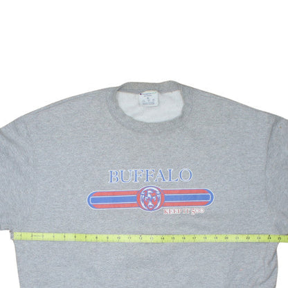 Champion Men's Grey XL Pullover Sports Sweatshirt