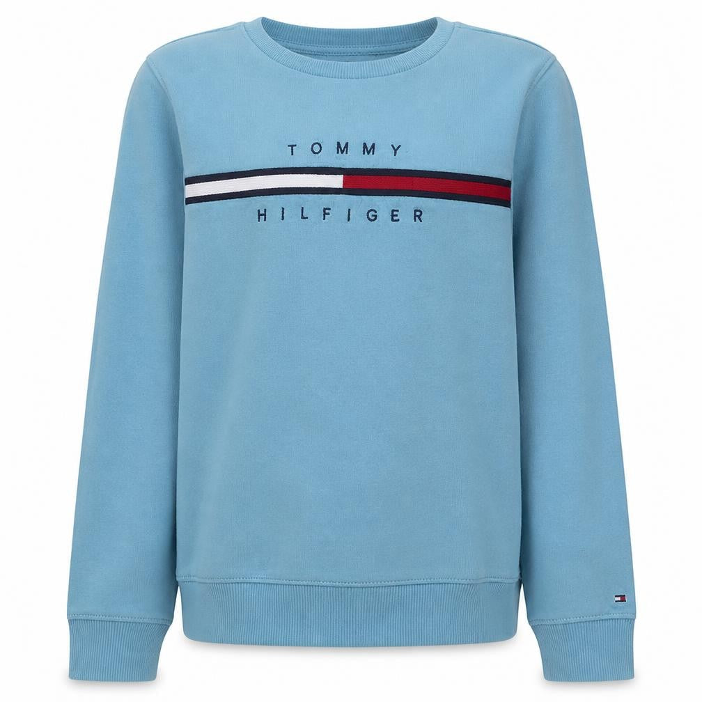 Tommy Hilfiger Boys Blue Crew Neck Pullover Sweatshirt Size 176 Regular Fit