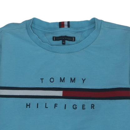 Tommy Hilfiger Boys Blue Crew Neck Pullover Sweatshirt Size 176 Regular Fit