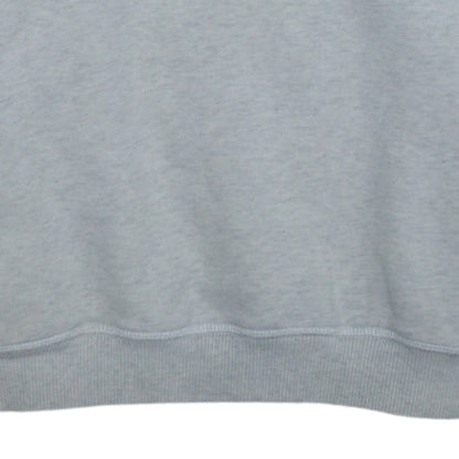 Diesel Men’s Grey Pullover Hoodie M Graphic Print Regular Fit