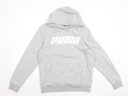 Puma Men Grey Pullover Hoodie L Hooded Sweatshirt Graphic Logo