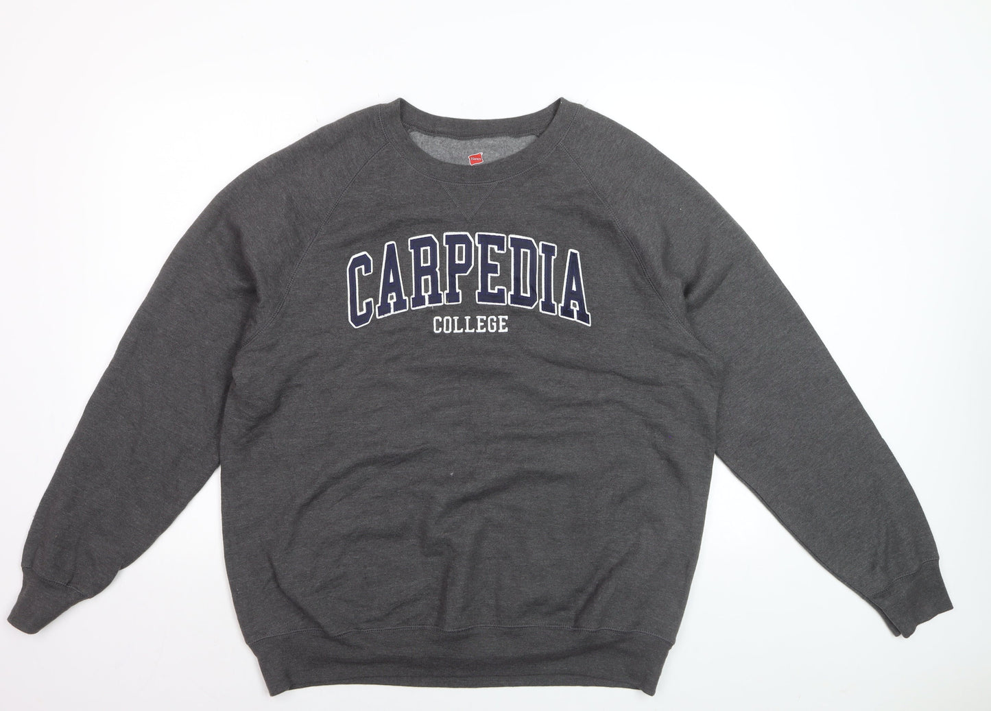 Hanes Men’s Grey College Logo Crew Neck Sweatshirt L