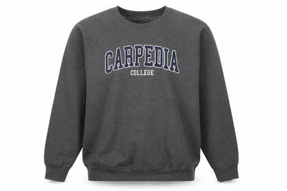 Hanes Men’s Grey College Logo Crew Neck Sweatshirt L