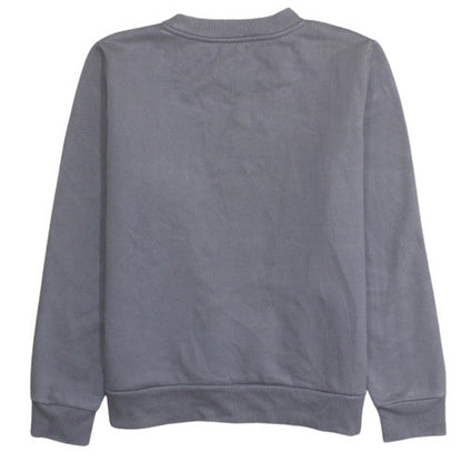 Calvin Klein Boys Grey Cotton Blend Crew Neck Pullover Sweatshirt L