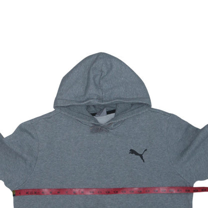 Puma Mens Grey Pullover Hoodie Size L Regular Fit Sportswear