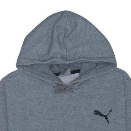 Puma Mens Grey Pullover Hoodie Size L Regular Fit Sportswear