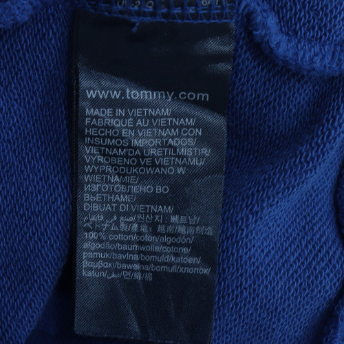 Tommy Jeans Men's Blue Hoodie L Pullover Cotton Logo Drawstring
