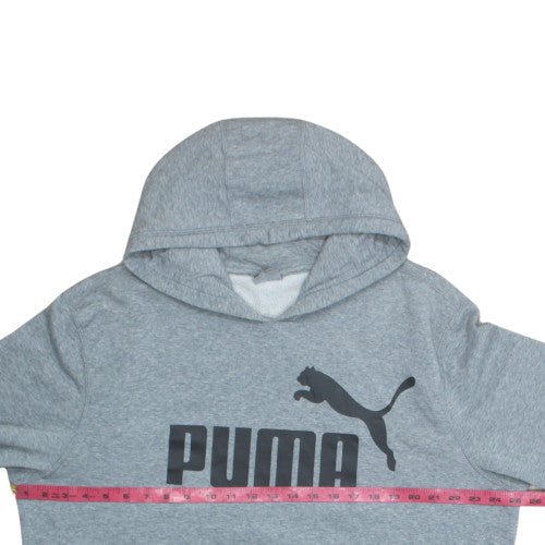 Puma Men’s Grey XL Pullover Hoodie Sweatshirt with Logo Graphic