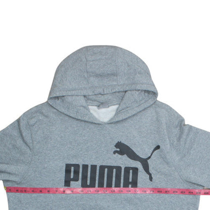 Puma Men’s Grey XL Pullover Hoodie Sweatshirt with Logo Graphic