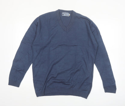 Kashmir Pure Pashmina Men's Blue V-Neck Cashmere Jumper S