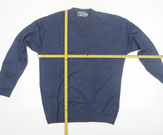 Kashmir Pure Pashmina Men's Blue V-Neck Cashmere Jumper S