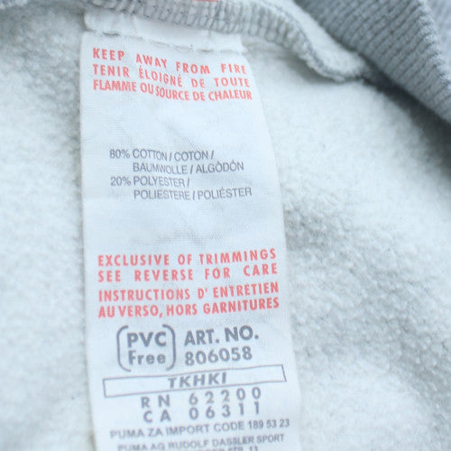 Puma Mens Grey Pullover Hoodie Fleece Regular Fit Sportswear M