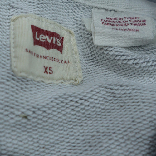 Levi's Men's Grey XS Pullover Hoodie with Logo Front