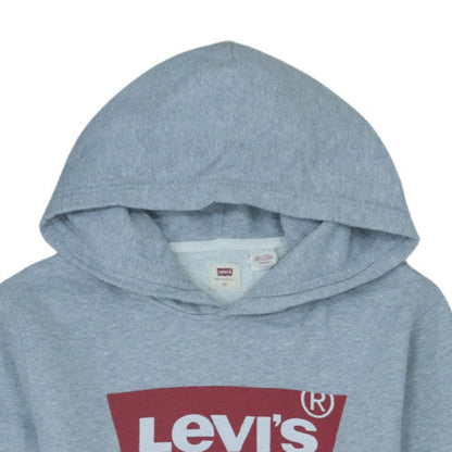 Levi's Men's Grey XS Pullover Hoodie with Logo Front