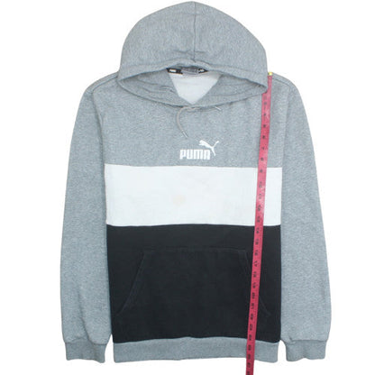 Puma Men's Grey Colour Block Hoodie XL Pullover Fleece