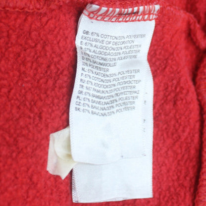 The North Face Mens Red Regular Fit Pullover Hoodie M