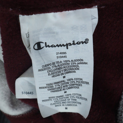 Champion Men's Grey Brown Pullover Hoodie Medium Logo Striped