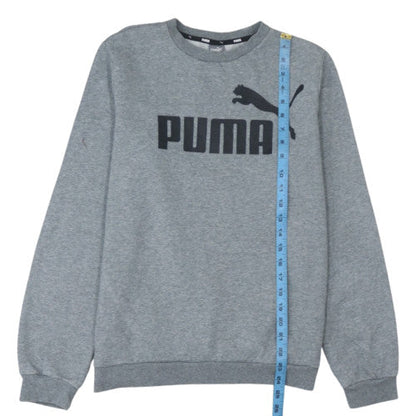 Puma Boys Grey 15-16 Years Pullover Fleece Sweatshirt with Logo