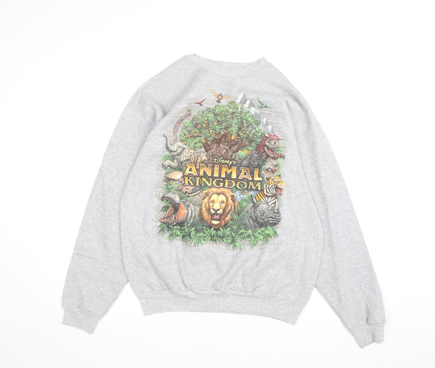 Disney Animal Kingdom Hanes Men Grey Pullover Sweatshirt M