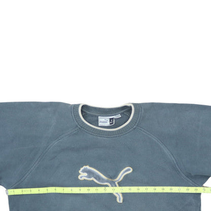 Puma Men’s Blue Pullover Sweatshirt Small Crew Neck Sports Fleece