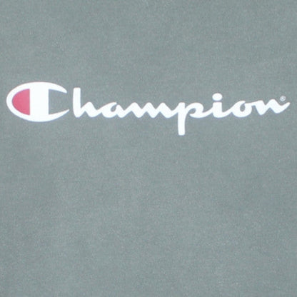 Champion Men's Green XL Crew Neck Pullover Sweatshirt