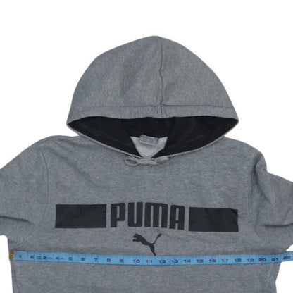 Puma Mens Grey Regular Fit Pullover Hoodie Size M
