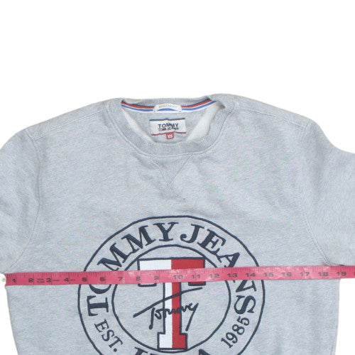 Tommy Jeans Men's Grey XS Crew Neck Logo Sweatshirt
