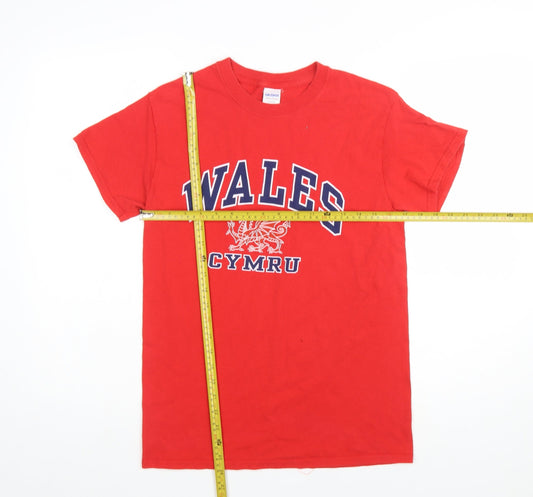 Gildan Men's Red Wales Cymru Graphic Heavy Cotton T-Shirt Size S