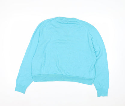 Club Room Men's Blue XL V-Neck Merino Wool Pullover Jumper