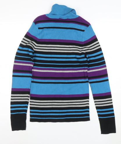 Northern Reflections Womens Multicoloured M Roll Neck Stripe Jumper