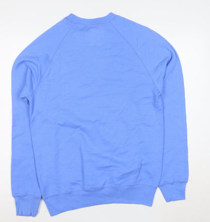 Hanes Men's Blue Small Pullover Crew Neck Sweatshirt