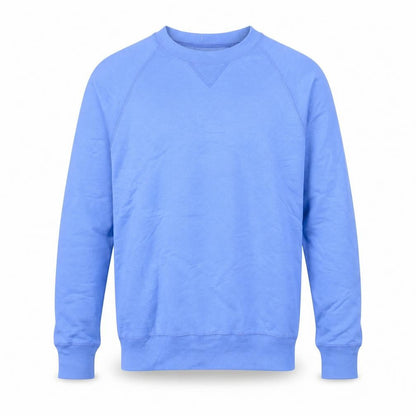 Hanes Men's Blue Crew Neck Pullover Sweatshirt Size S
