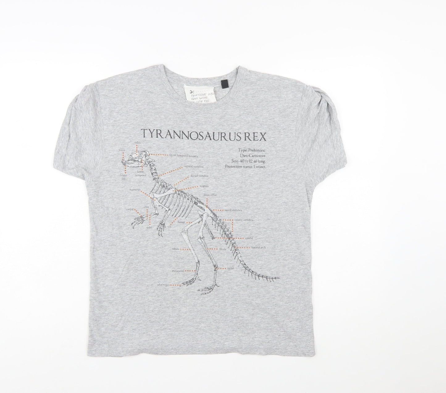 Topshop Women’s Grey Dinosaur Print Short Sleeve T-Shirt Size L