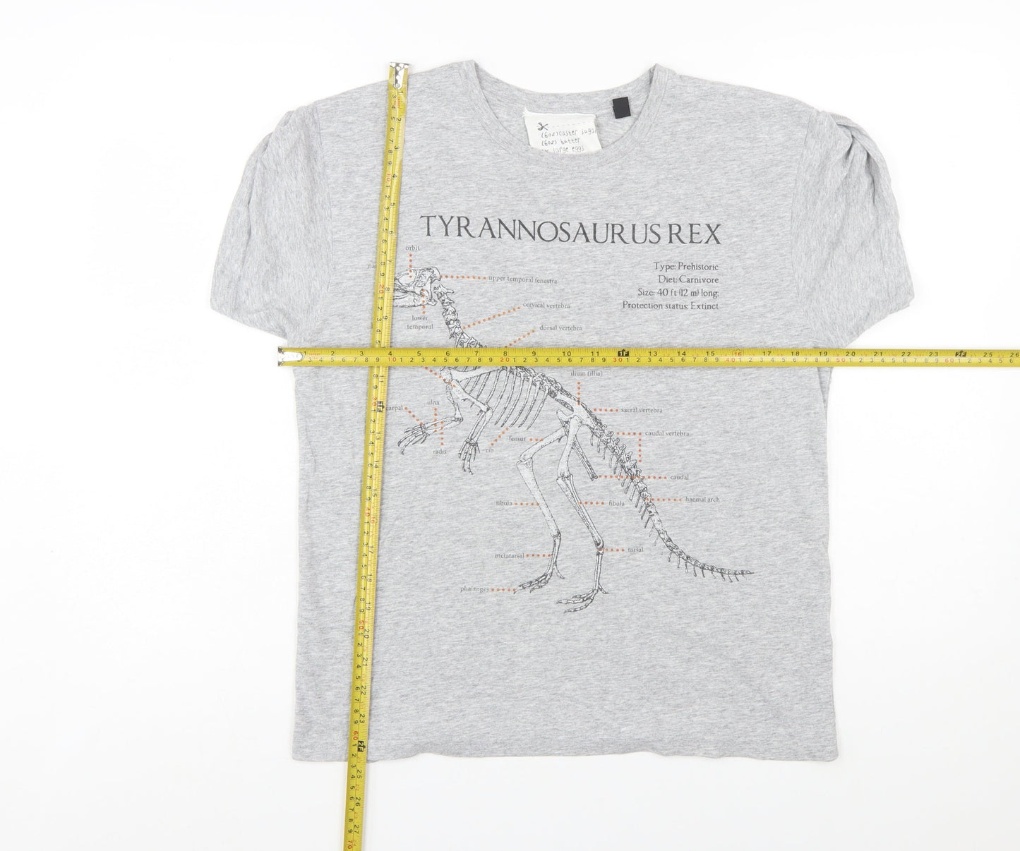 Topshop Women’s Grey Dinosaur Print Short Sleeve T-Shirt Size L