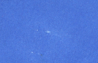 Champion Men’s Blue XL Pullover Sweatshirt Crew Neck Fleece Jumper