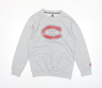 adidas Men’s Grey Graphic Crew Neck Pullover Sweatshirt Size S