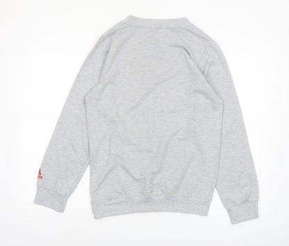 adidas Men’s Grey Graphic Crew Neck Pullover Sweatshirt Size S