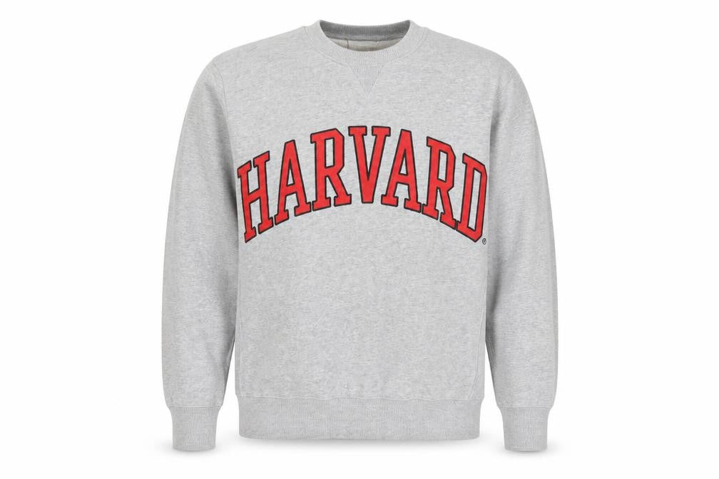 Zara Men’s Grey Harvard University Crew Neck Sweatshirt L