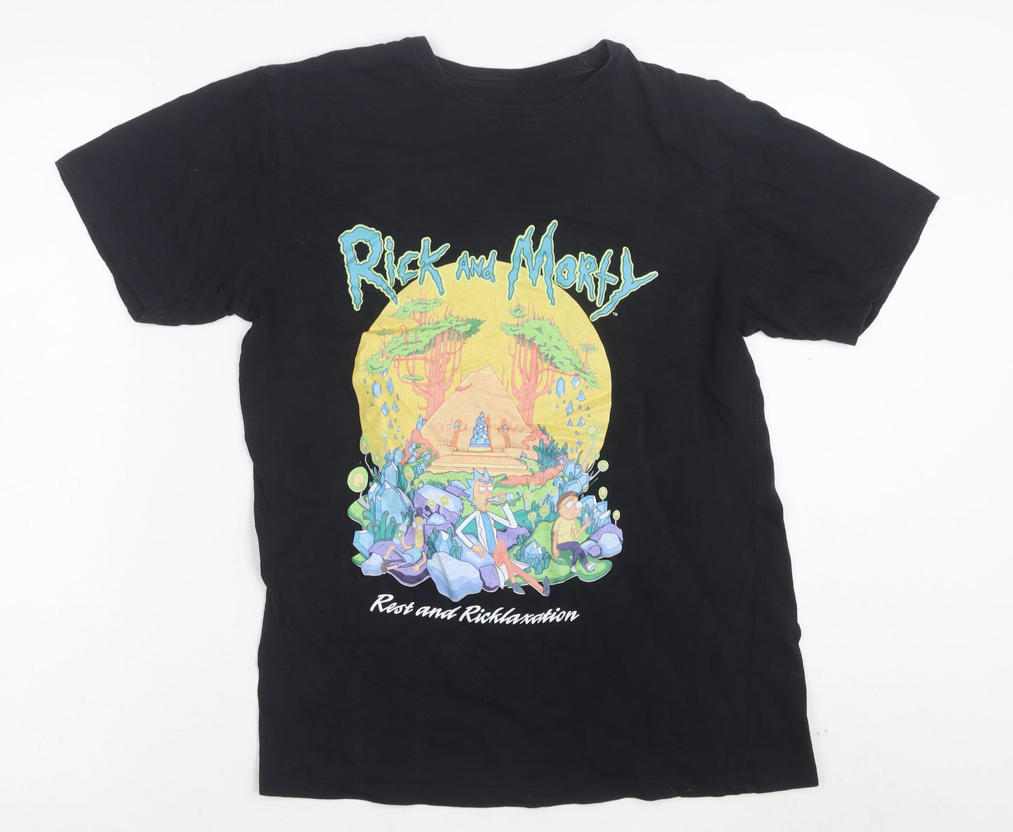 Adult Swim Rick and Morty Black Cotton Men’s T-Shirt Size S Graphic Tee