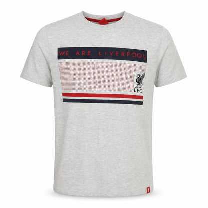 LFC Men's Grey Short Sleeve Crew Neck Graphic T-Shirt Size S