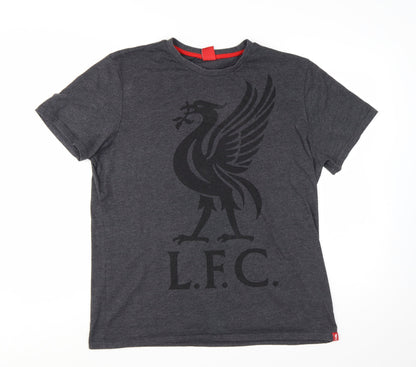 Liverpool FC Men's Grey LFC Graphic Cotton Blend T-Shirt Size L