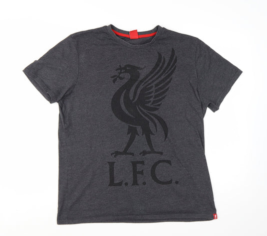 Liverpool FC Men's Grey LFC Graphic Cotton Blend T-Shirt Size L