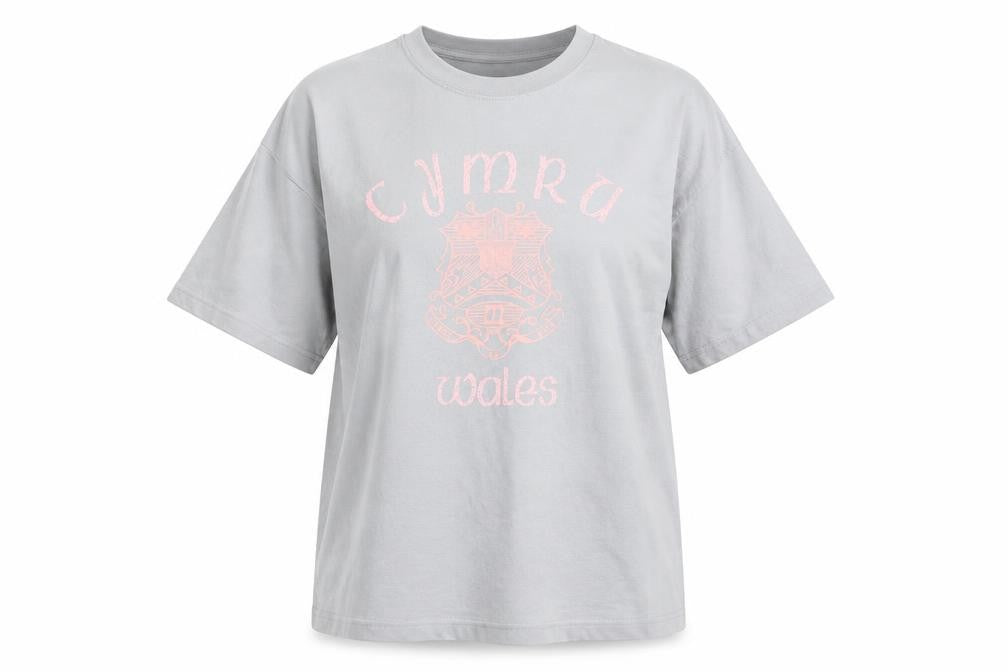 Front view of Manav Premier Clothing unisex grey cymru wales cotton t-shirt xl